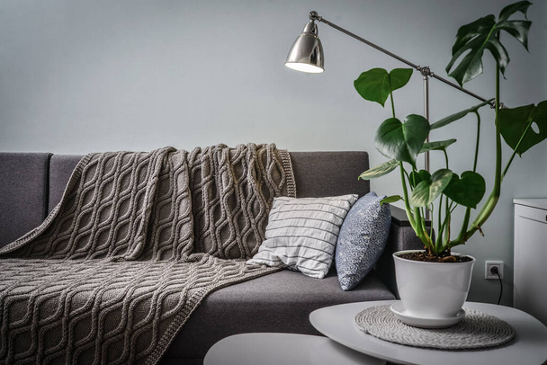 Grey couch with cushions, knitted plaid  and  floor lamp in the room with blue walls - Фото, изображение