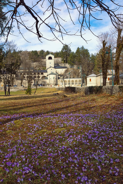 Černá Hora, únorový den ve městě Cetinje. Pohled na starobylý klášter Cetinje (srbský pravoslavný církevní klášter ) - Fotografie, Obrázek