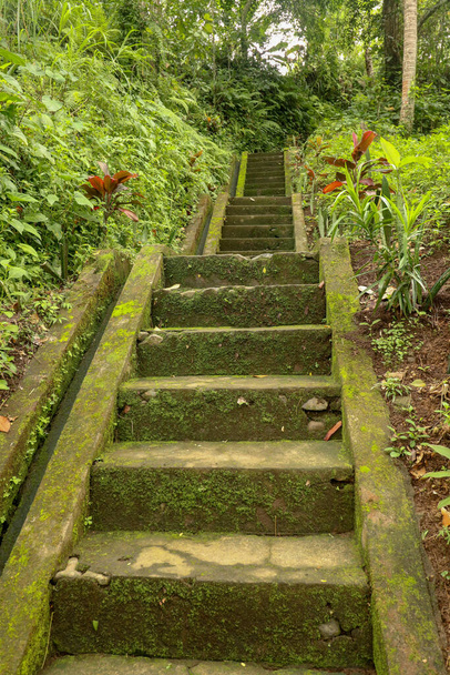 Old stone steps leading in to tropical jungle trekking and walking in Bali, Indonesia. Stairway to waterfall Goa Giri Campuhan in tropical jungle. Old concrete stairs and surrounding vegetation. - Photo, Image