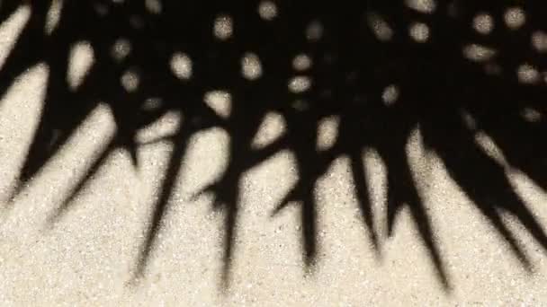 Een bizarre maar toch prachtig bewegende abstracte schaduw van bamboe palmbladeren op grind betonnen vloer. - Video