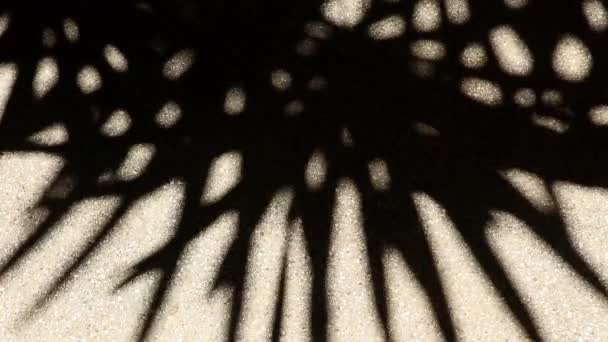 A bizarre yet beautifully moving abstract shadow of bamboo palm tree leaves on gravel concrete floor. - Footage, Video