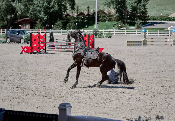 Jeździec spada z czarnego konia w zawodach skoki pokazowe - Zdjęcie, obraz