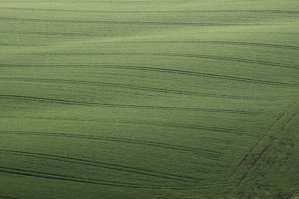 Grüne landwirtschaftliche Felder - Foto, Bild