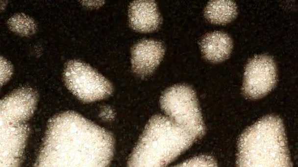 Una extraña pero bellamente conmovedora sombra abstracta de hojas de palmera de bambú sobre suelo de hormigón de grava
. - Imágenes, Vídeo