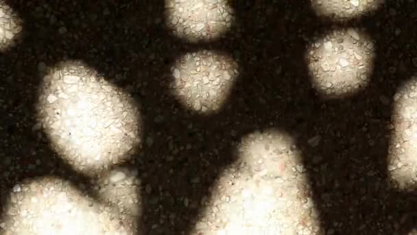 Een bizarre maar toch prachtig bewegende abstracte schaduw van bamboe palmbladeren op grind betonnen vloer. - Video
