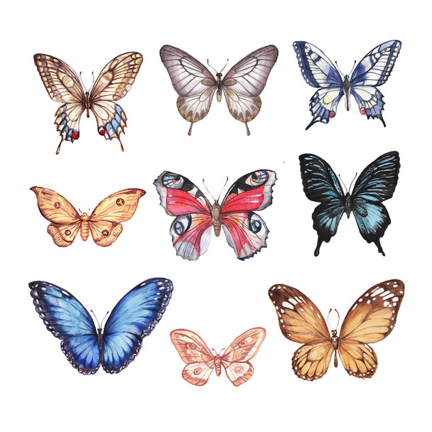 Set collection with butterflies. Hand-drawn watercolor illustration. Elements separately on a white background. Black, red, blue, orange. Print, textile, paper, fabric. Vintage, sketch, retro, realism. - Photo, Image