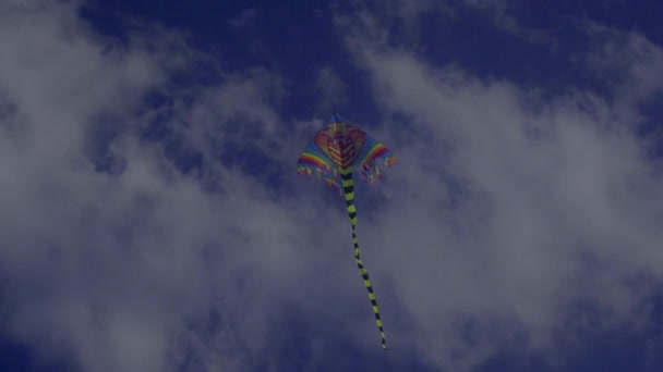 low angle view of colorful kite flying in blue sky - Πλάνα, βίντεο