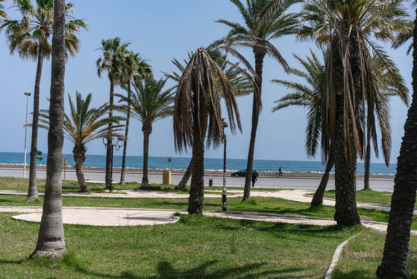 Tunus 'a hoş geldiniz: Manastır  - Fotoğraf, Görsel