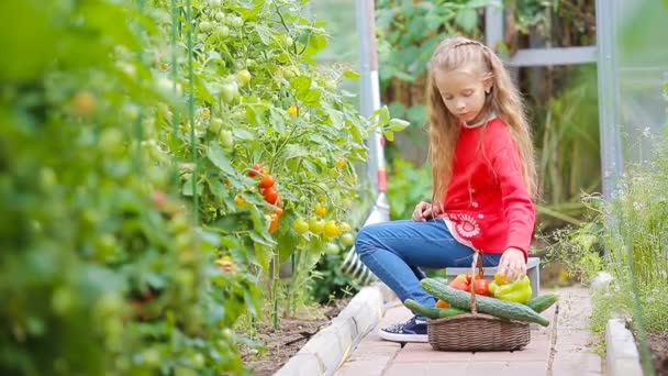 Urocza dziewczynka zbierająca ogórki i pomidory w szklarni. Portret dziecka z czerwonym pomidorem w rękach. - Materiał filmowy, wideo