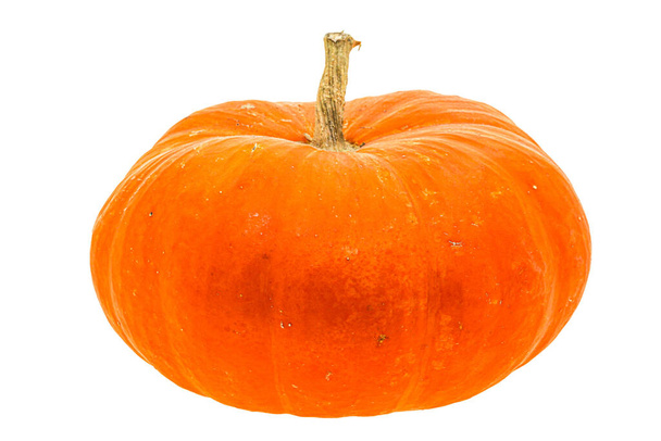 Ripe pumpkin - ready for cooking - Photo, Image