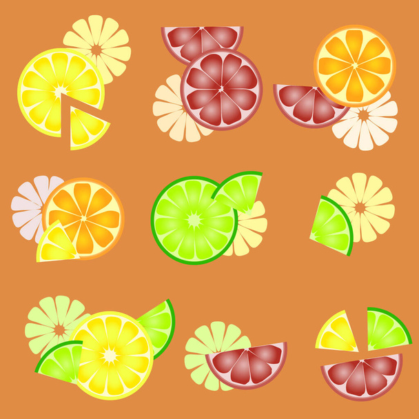 verschillende gekleurde citrusvruchten in een snede op een oranje achtergrond - Vector, afbeelding