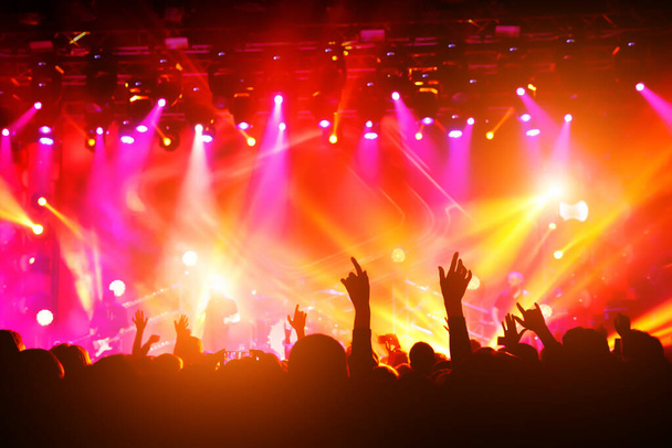 People with their hands up at a concert of their favorite group. Crowd watching a show - Photo, Image