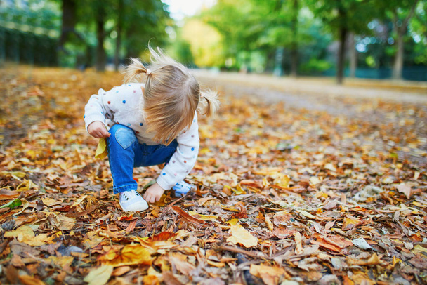 Adorable cheerful toddler girl with pigtails gathering yellow autumn leaves in park in Paris, France. Happy child enjoying warm and sunny fall day. Outdoor autumn activities for kids - Fotografie, Obrázek
