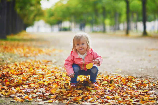 Adorable cheerful toddler girl running in Tuileries garden in Paris, France. Happy child enjoying warm and sunny fall day. Outdoor autumn activities for kids - Fotografie, Obrázek