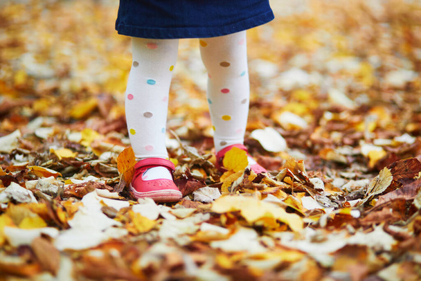 Toddler girl in red shoes and polka dot pantihose standing on fallen leaves in a fall day. Child enjoying autumn day in park. Stylish and beautiful clothes and shoes for kids - Photo, Image