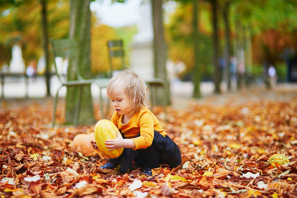 Adorable toddler girl in orange t-shirt and black tutu playing with colorful pumpkins lying on the ground in orange autumn fallen leaves. Happy kid celebrating Halloween - Photo, Image