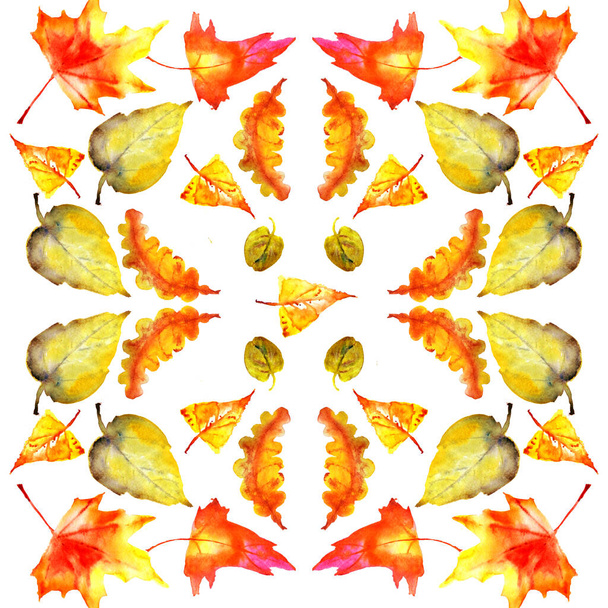 φθινόπωρο πολύχρωμα φύλλα πέφτουν απρόσκοπτη μοτίβο σε λευκό φόντο - Φωτογραφία, εικόνα