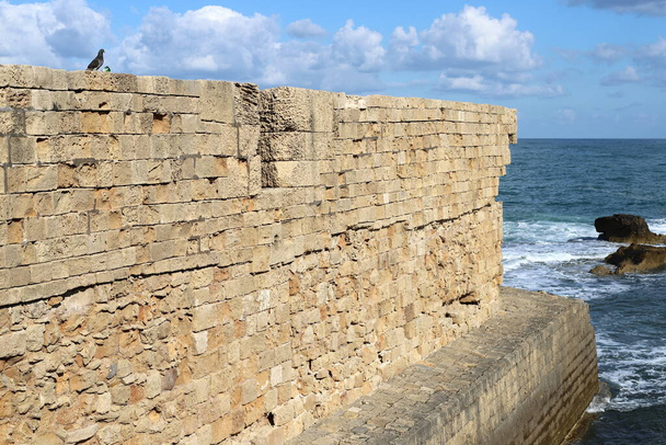 Стіни фортеці старого міста Акрі. Акра - одне з найдавніших міст на півночі Ізраїлю на узбережжі Середземного моря.  - Фото, зображення