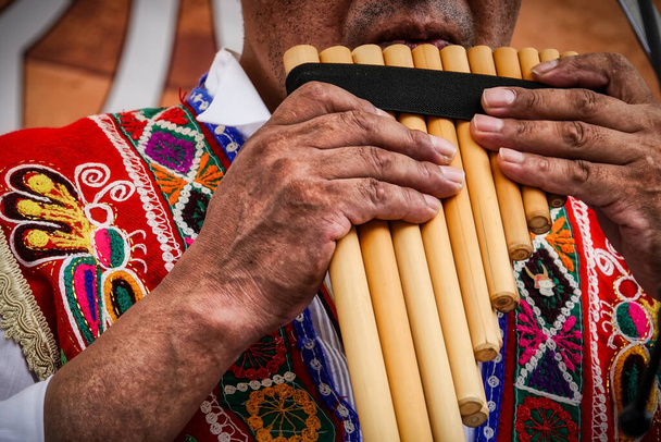 Bir adam Tokyo, Japonya 'da düzenlenen Latin Festivali' nde geleneksel Peru müziği eşliğinde pan flütü çalıyor.. - Fotoğraf, Görsel