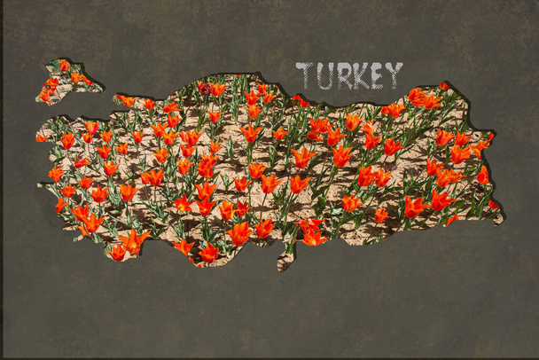 Zhruba načrtnuté Mapa Turecka jako obchodní koncepce - Fotografie, Obrázek