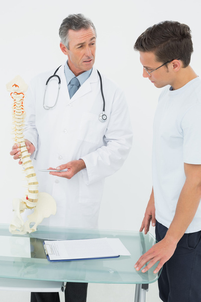Doctor explaining the spine to patient in office - Fotó, kép