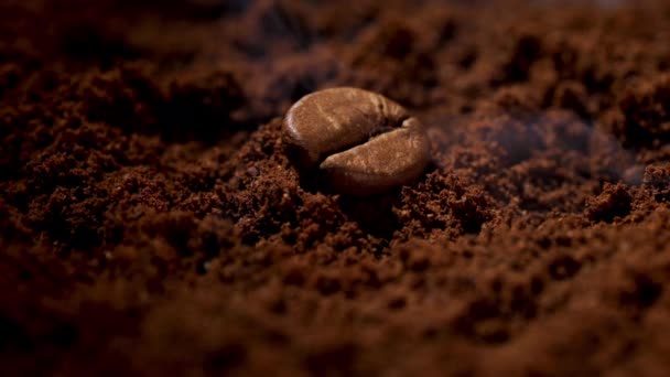 Frischer Geruch von geröstetem Kaffee - Filmmaterial, Video