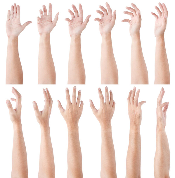 GRUPA Męskich azjatyckich gestów dłoni odizolowanych na białym tle. Miękkie działania Grab. - Zdjęcie, obraz