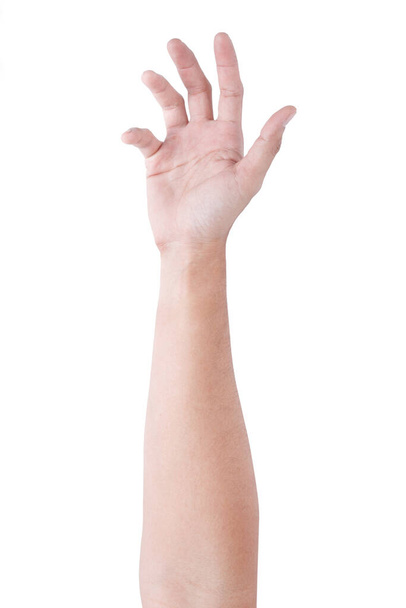 Mužské asijské gesta rukou izolované přes bílé pozadí. Měkký úchop. - Fotografie, Obrázek