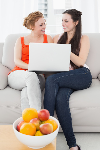 Female friends using laptop together at home - Foto, immagini