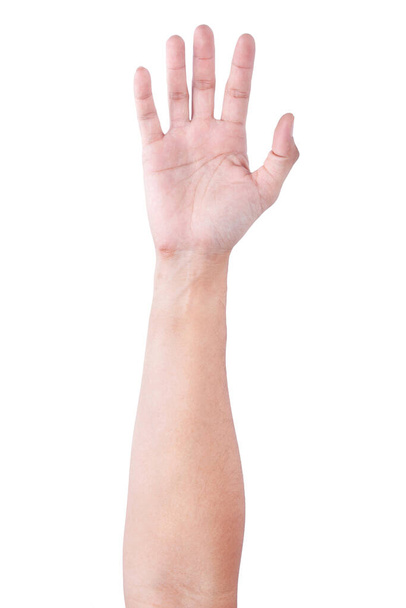 Masculino asiática mano gestos aislados sobre el fondo blanco. Acción de agarre suave
. - Foto, Imagen