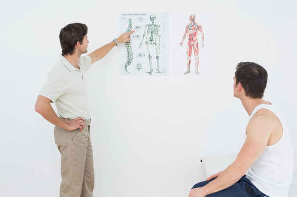 Physiotherapist showing patient something on skeleton chart - Foto, imagen