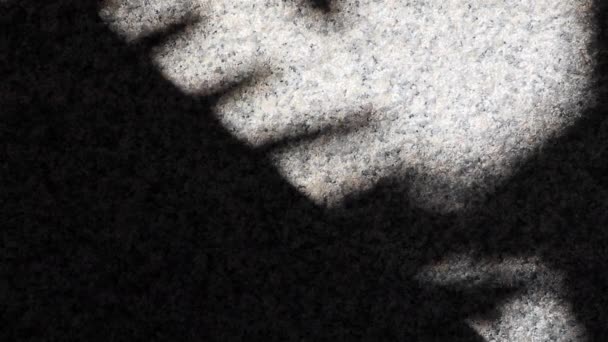 Hermosa sombra abstracta en movimiento de hojas de árbol en el suelo de granito o superficie de la pared
. - Metraje, vídeo