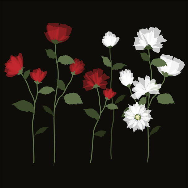  Set of white and red bloomg flowers .Blossom flowers. on Black  llustration style of stem flowers. - Photo, image