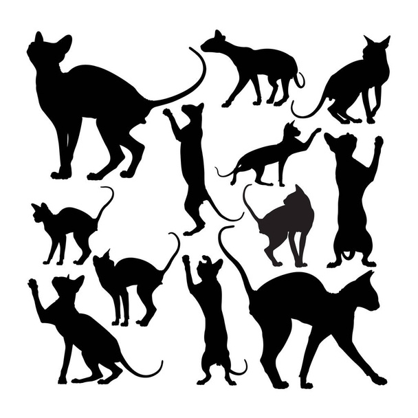 Leuke sphynx kat dier silhouetten. Goed gebruik voor symbool, logo, web icoon, mascotte, teken, of een ontwerp dat u wilt. - Vector, afbeelding