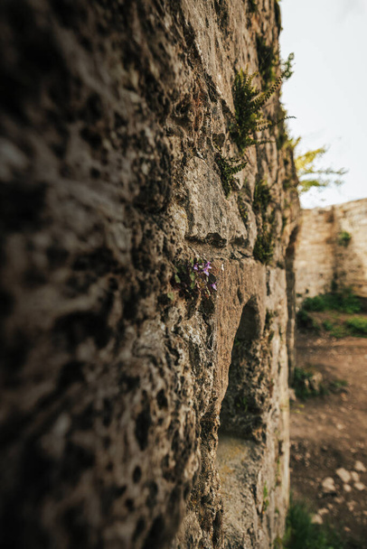 Старі стіни замку Гогенурх у Бад - Ураху (Німеччина). - Фото, зображення