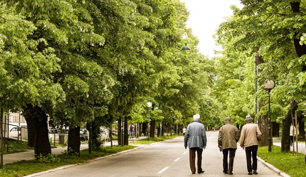 Старші люди ходять вулицею.. - Фото, зображення