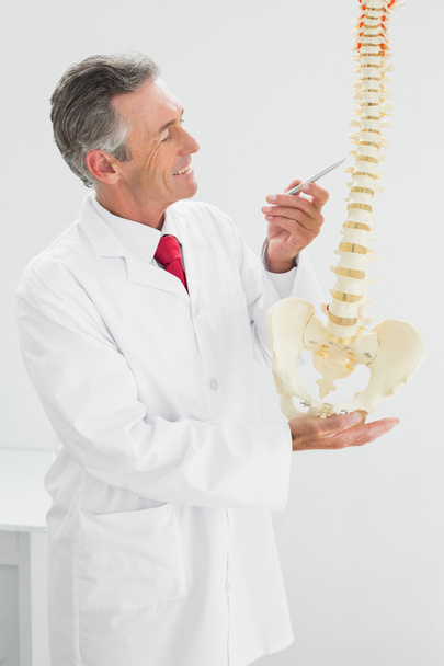 Smiling doctor holding skeleton model in office - Foto, afbeelding