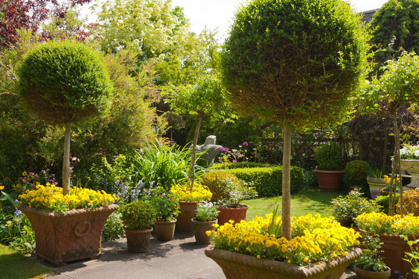 Mały, gęsto posadzony letni ogród z krzewami i kolorem - Zdjęcie, obraz