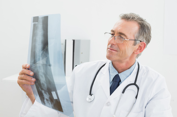 Doctor looking at x-ray picture of spine in office - Valokuva, kuva