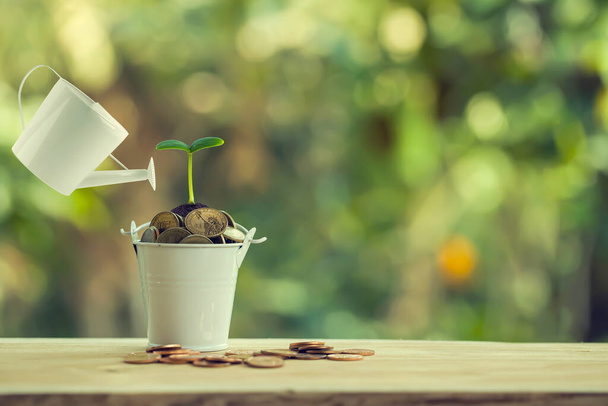 Finance and banking, Saving money concept: Pours water from a watering can, Green sprout on bucket full of coins on wood table. - Fotografie, Obrázek