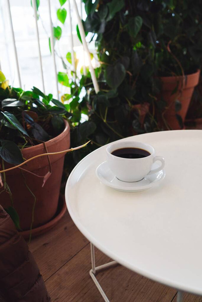 A cup of coffee on the white table with green potted plants - Photo, Image
