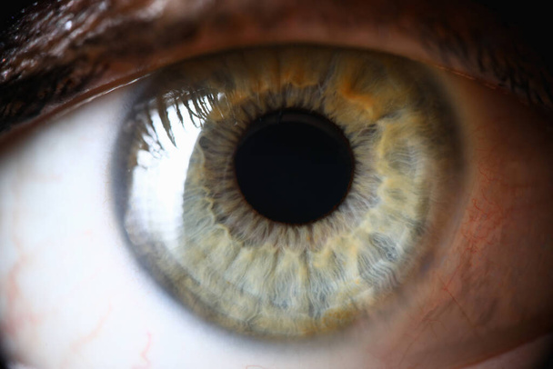 Primer plano, pupila humana verde sana, diagnóstico del ojo - Foto, Imagen