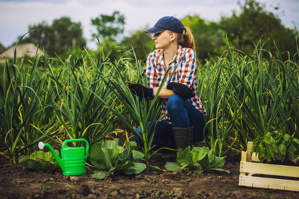 Woman agronomist checks garlic growth rates on an eco farm. - Zdjęcie, obraz