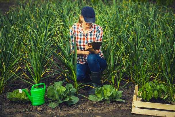Woman agronomist checks garlic growth rates on an eco farm. - Foto, afbeelding