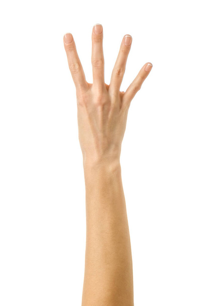 Number four. Woman hand with french manicure gesturing isolated on white background. Part of series - Fotoğraf, Görsel