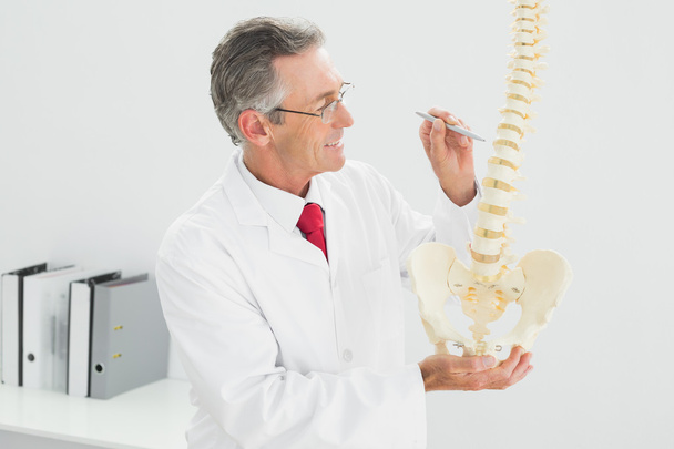 Smiling doctor holding skeleton model in office - Fotoğraf, Görsel