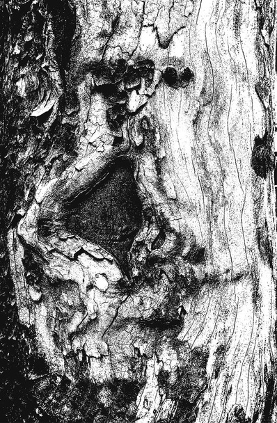 Distressed Overlay Holzrinde Textur, Grunge-Hintergrund. abstrakte Halbtonvektorillustration - Vektor, Bild