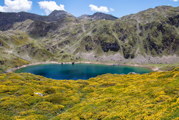 Incredible blue water of Calabazosa or Black lake in the Somiedo national park, Spain, Asturias. Saliencia mountain lakes. Spring yellow flowers.  - Photo, Image