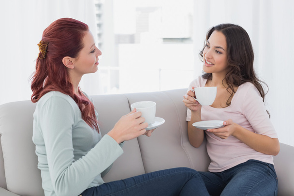 Young female friends chatting over coffee at home - 写真・画像