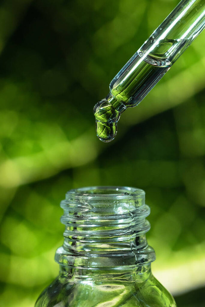 Drop of oil on a background of green leaves. Cosmetic pipette with essence. - Foto, Imagen